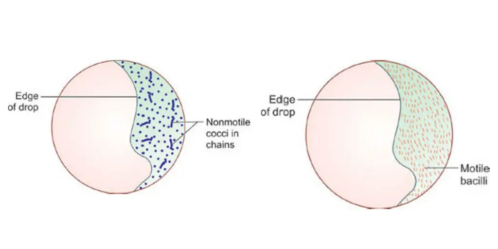 Hanging drop method