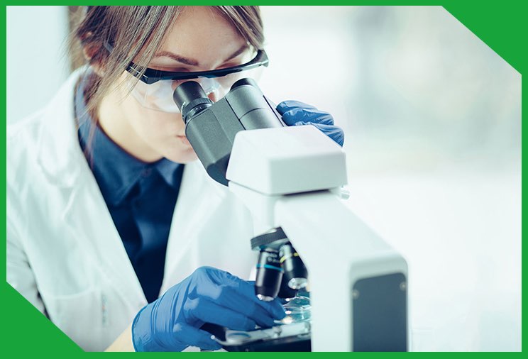Key Terms in Clinical Microbiology