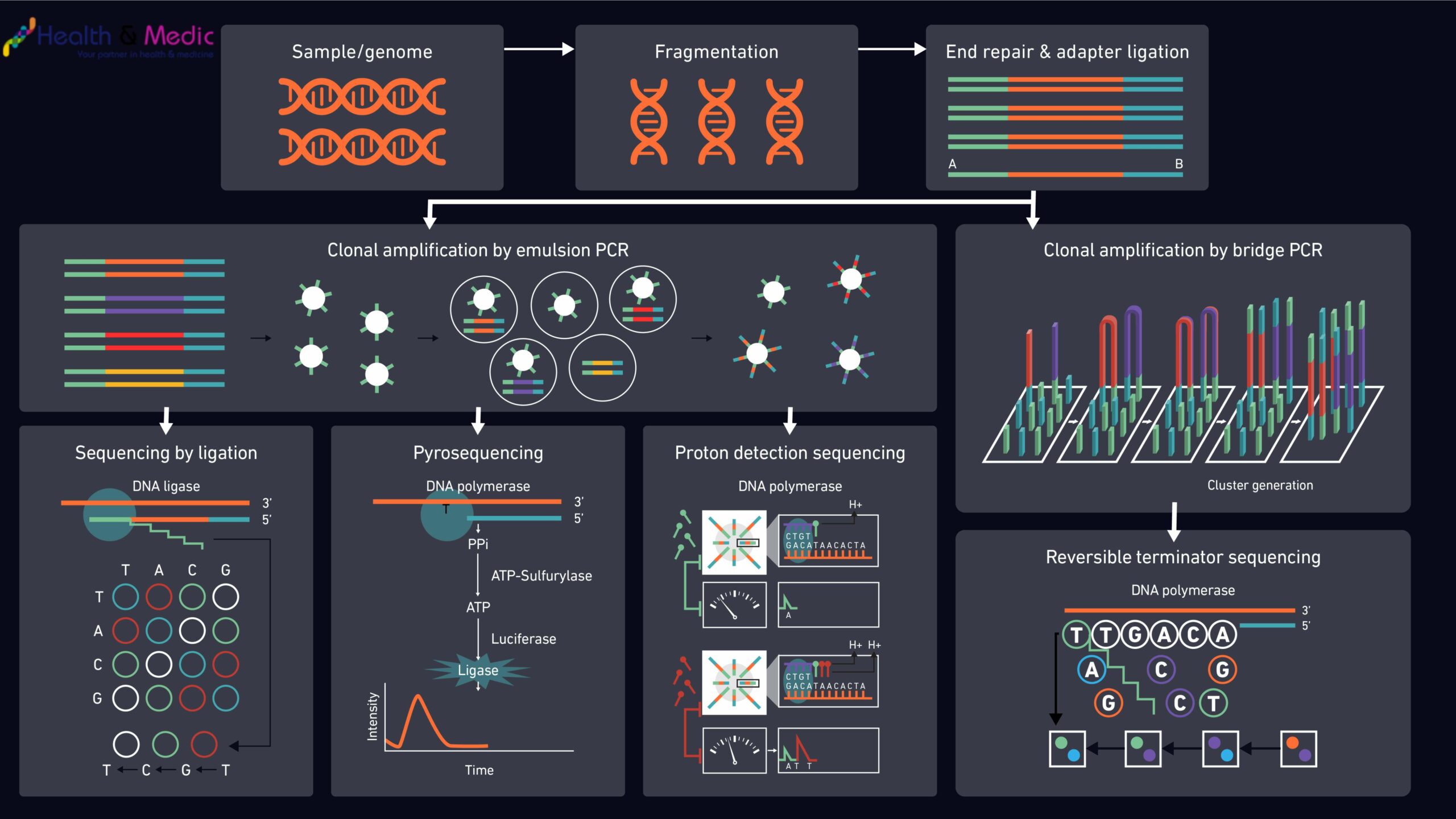 New Diagnostic Tools and Technologies of Clinical Microbiology in 2024