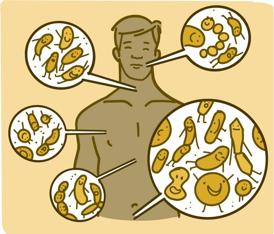 Top 10 Microorganisms in Human Health and Disease